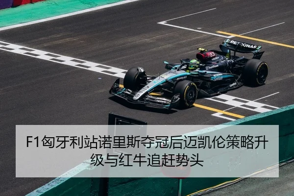 xiong-ya-li-zhan-nuo-li-si-duo-guan-hou-mai-kai-lun-ce-lve-sheng-ji-yu-hong-niu-zhui-gan-shi-tou-1-342.jpg